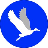 Follow Our freeblock.dev Telegram Channel